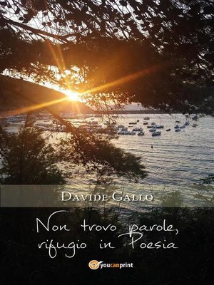 cover image of Non trovo parole, rifugio in Poesia